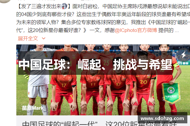 中国足球：崛起、挑战与希望